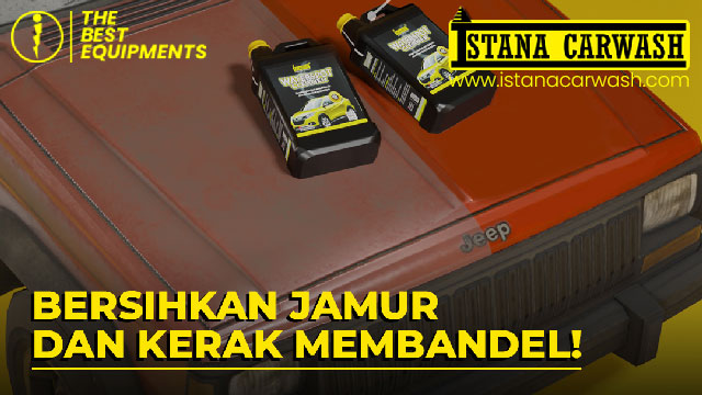 membersihkan jamur body mobil Solusi Terbaik Membersihkan Jamur Body Mobil